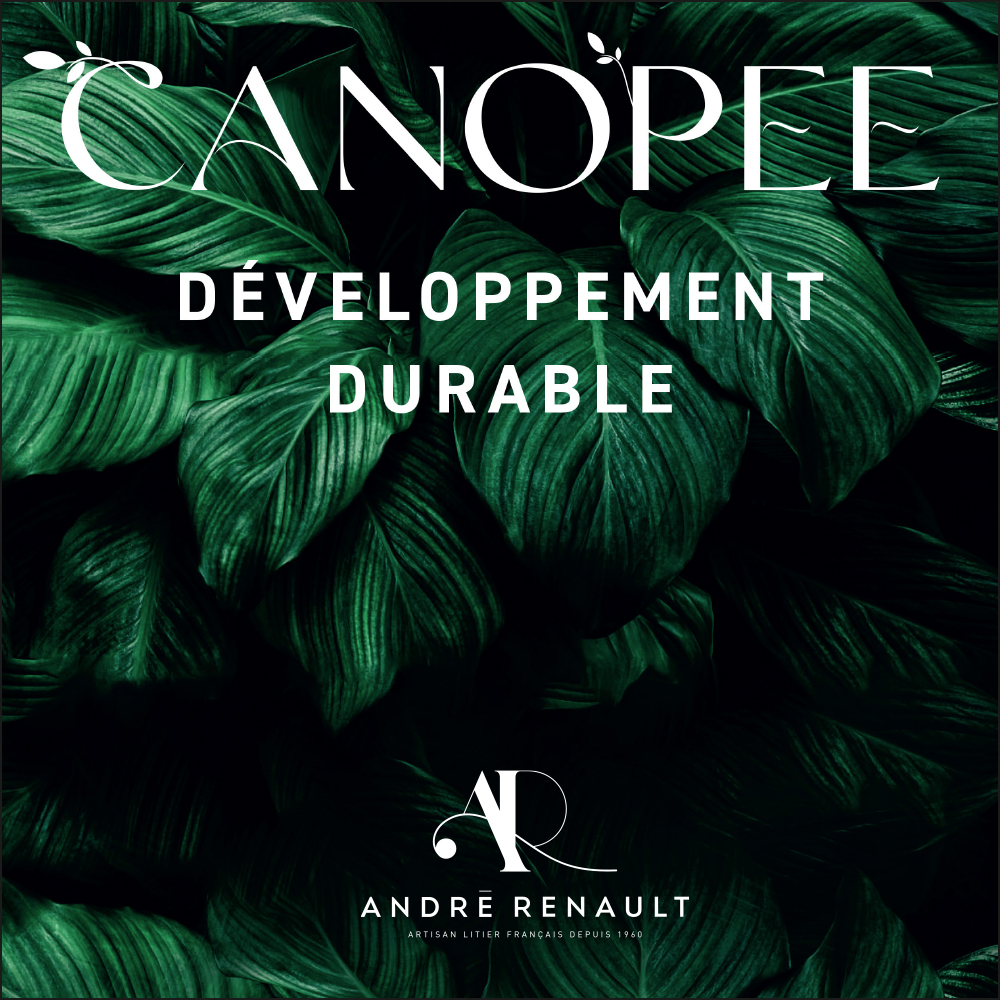 André Renault - Canopée